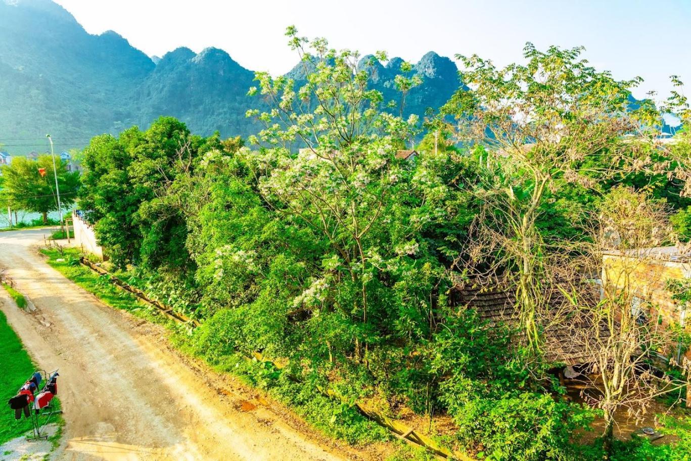 Phong Nha Cherish House Экстерьер фото